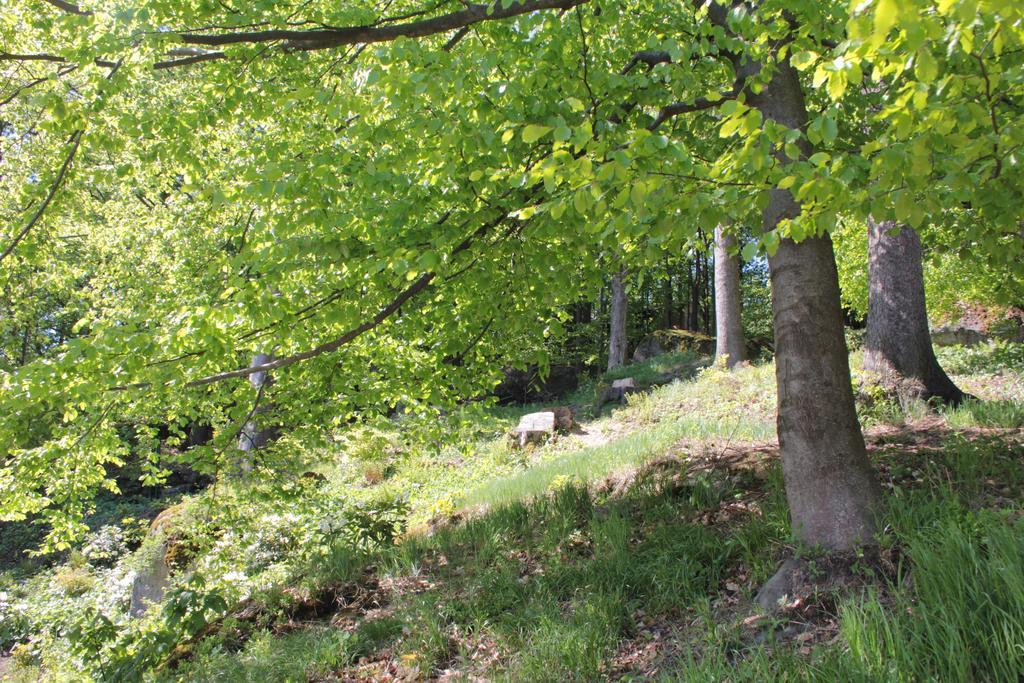 Willa Asika Josefŭv Dŭl Zewnętrze zdjęcie